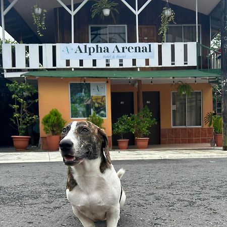 Alpha Arenal Hostel La Fortuna Bagian luar foto