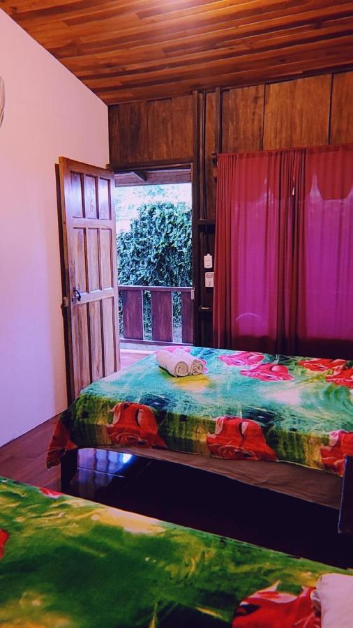 Alpha Arenal Hostel La Fortuna Bagian luar foto