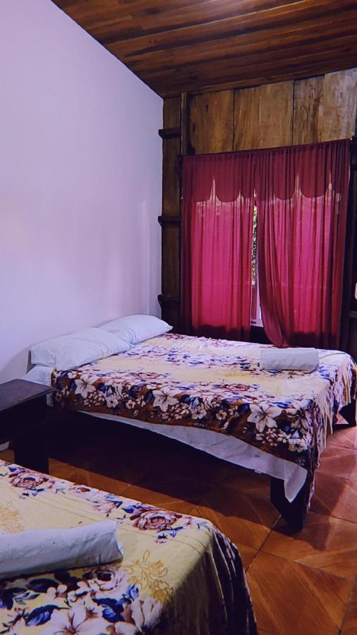 Alpha Arenal Hostel La Fortuna Bagian luar foto