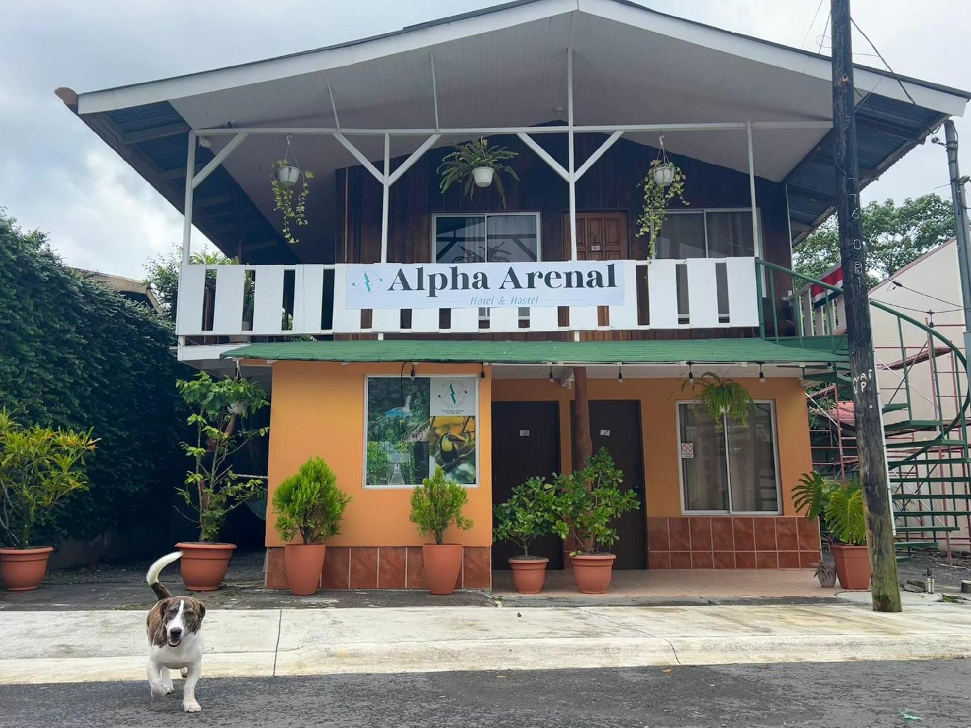 Alpha Arenal Hostel La Fortuna Bagian luar foto
