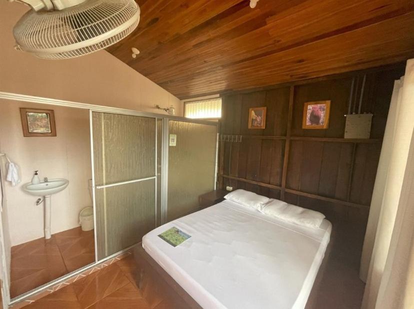 Alpha Arenal Hostel La Fortuna Bagian luar foto
